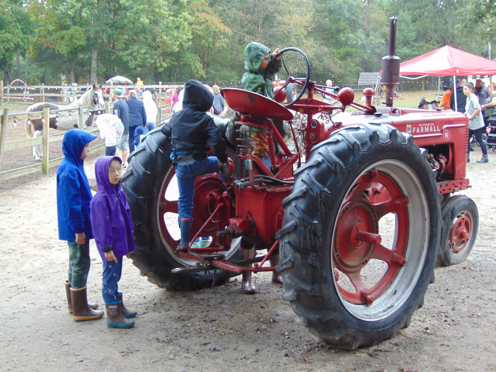 Farm gallery 14.JPG